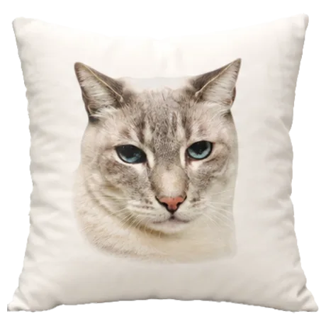 White pillow printed with a photo of a cat’s face